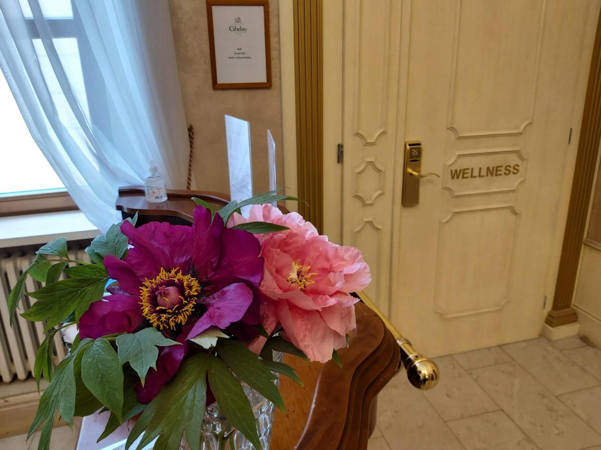 Pension U Golfu Cihelny Karlsbad Eksteriør billede